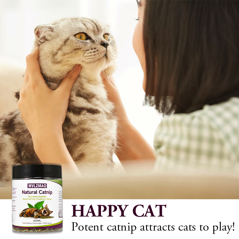 Brinquedos para gatos - Silver - Herbal Wellness Supplement avaliação e preço